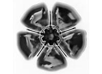 Starletto Noir Heel Protectors